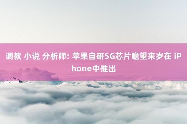 调教 小说 分析师: 苹果自研5G芯片瞻望来岁在 iPhone中推出