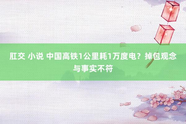 肛交 小说 中国高铁1公里耗1万度电？掉包观念与事实不符