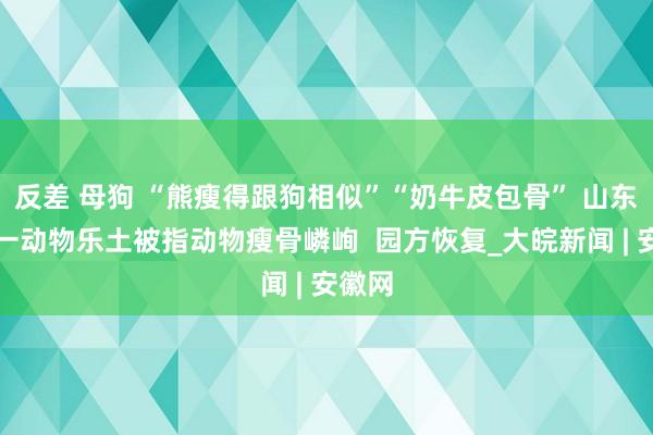 反差 母狗 “熊瘦得跟狗相似”“奶牛皮包骨” 山东泰安一动物乐土被指动物瘦骨嶙峋  园方恢复_大皖新闻 | 安徽网