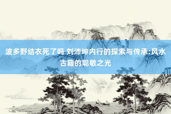 波多野结衣死了吗 刘沛坤内行的探索与传承:风水古籍的聪敏之光