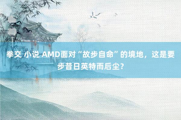 拳交 小说 AMD面对“故步自命”的境地，这是要步昔日英特而后尘？