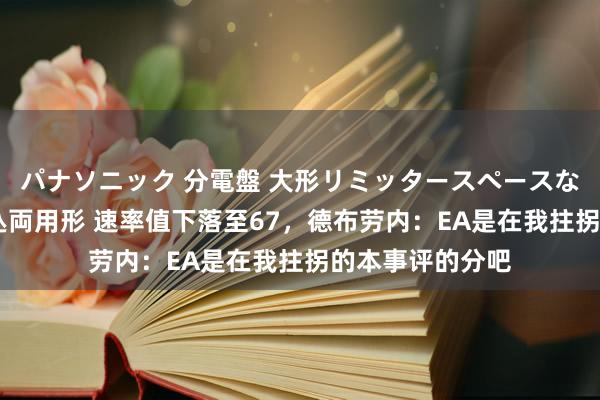 パナソニック 分電盤 大形リミッタースペースなし 露出・半埋込両用形 速率值下落至67，德布劳内：EA是在我拄拐的本事评的分吧