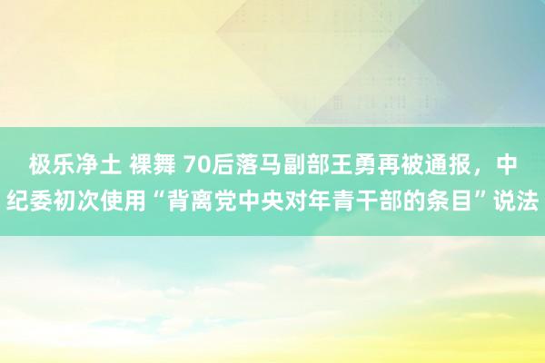 极乐净土 裸舞 70后落马副部王勇再被通报，中纪委初次使用“背离党中央对年青干部的条目”说法