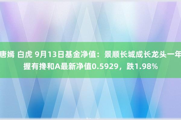 唐嫣 白虎 9月13日基金净值：景顺长城成长龙头一年握有搀和A最新净值0.5929，跌1.98%