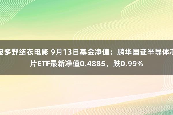 波多野结衣电影 9月13日基金净值：鹏华国证半导体芯片ETF最新净值0.4885，跌0.99%