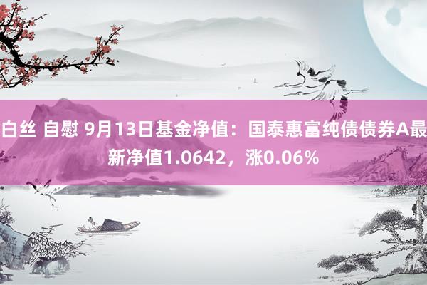 白丝 自慰 9月13日基金净值：国泰惠富纯债债券A最新净值1.0642，涨0.06%