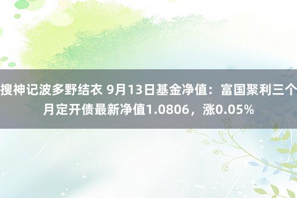 搜神记波多野结衣 9月13日基金净值：富国聚利三个月定开债最新净值1.0806，涨0.05%