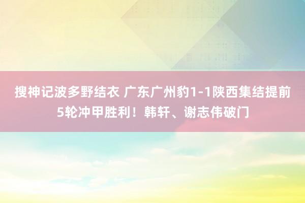 搜神记波多野结衣 广东广州豹1-1陕西集结提前5轮冲甲胜利！韩轩、谢志伟破门