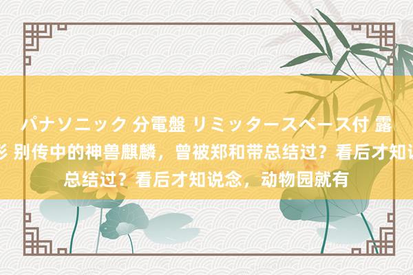 パナソニック 分電盤 リミッタースペース付 露出・半埋込両用形 别传中的神兽麒麟，曾被郑和带总结过？看后才知说念，动物园就有