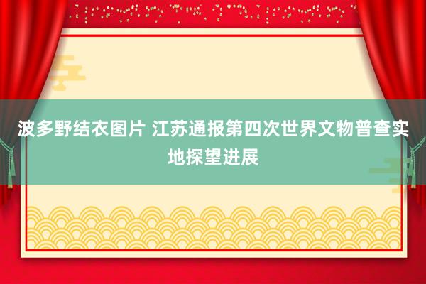 波多野结衣图片 江苏通报第四次世界文物普查实地探望进展