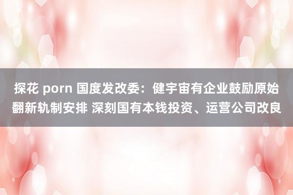 探花 porn 国度发改委：健宇宙有企业鼓励原始翻新轨制安排 深刻国有本钱投资、运营公司改良