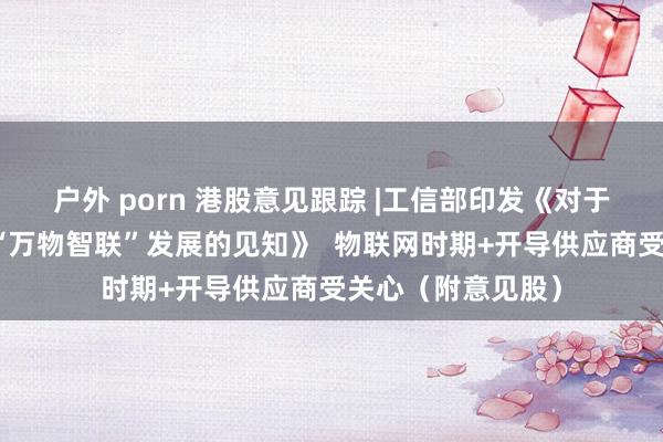 户外 porn 港股意见跟踪 |工信部印发《对于激动出动物联网“万物智联”发展的见知》  物联网时期+开导供应商受关心（附意见股）