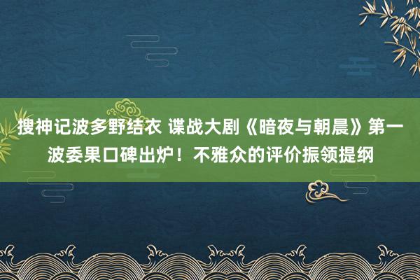 搜神记波多野结衣 谍战大剧《暗夜与朝晨》第一波委果口碑出炉！不雅众的评价振领提纲