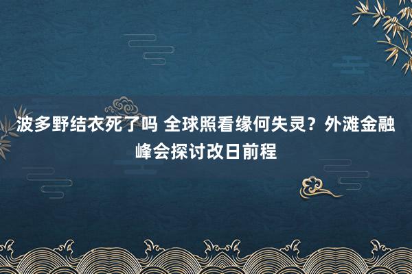 波多野结衣死了吗 全球照看缘何失灵？外滩金融峰会探讨改日前程