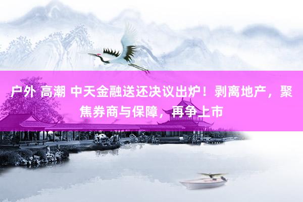 户外 高潮 中天金融送还决议出炉！剥离地产，聚焦券商与保障，再争上市