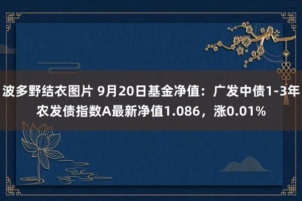 波多野结衣图片 9月20日基金净值：广发中债1-3年农发债指数A最新净值1.086，涨0.01%