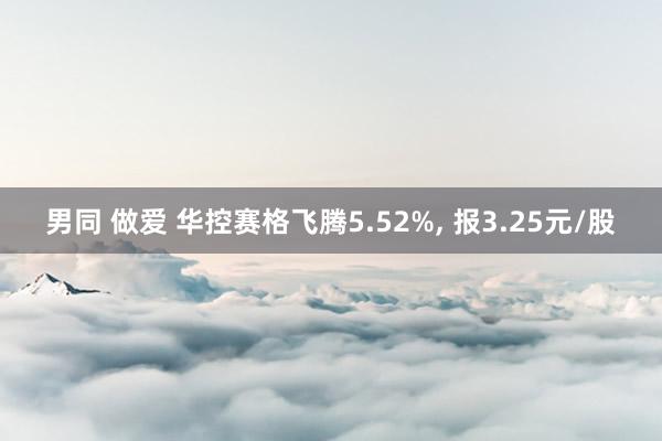 男同 做爱 华控赛格飞腾5.52%， 报3.25元/股