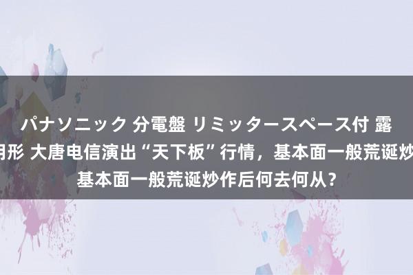 パナソニック 分電盤 リミッタースペース付 露出・半埋込両用形 大唐电信演出“天下板”行情，基本面一般荒诞炒作后何去何从？