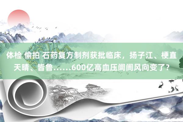 体检 偷拍 石药复方制剂获批临床，扬子江、梗直天晴、皆鲁……600亿高血压阛阓风向变了？