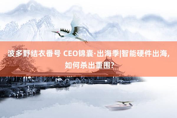 波多野结衣番号 CEO锦囊·出海季|智能硬件出海， 如何杀出重围?