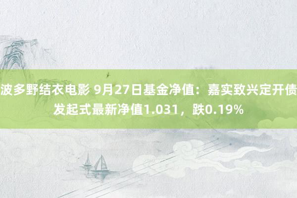 波多野结衣电影 9月27日基金净值：嘉实致兴定开债发起式最新净值1.031，跌0.19%