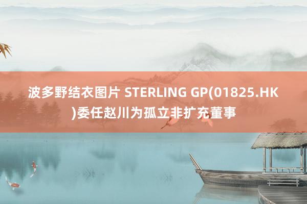 波多野结衣图片 STERLING GP(01825.HK)委任赵川为孤立非扩充董事