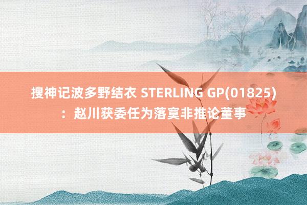 搜神记波多野结衣 STERLING GP(01825)：赵川获委任为落寞非推论董事