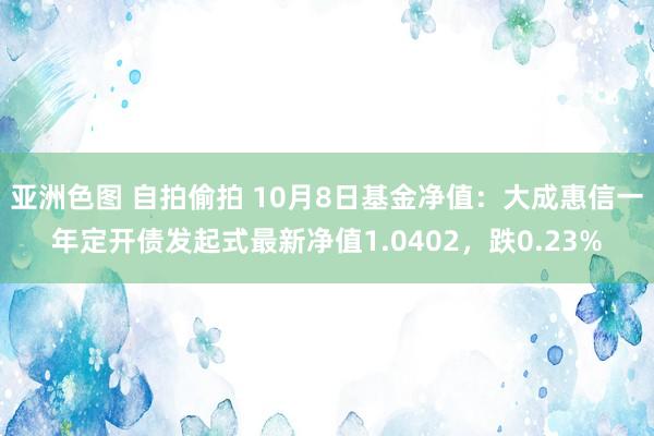 亚洲色图 自拍偷拍 10月8日基金净值：大成惠信一年定开债发起式最新净值1.0402，跌0.23%