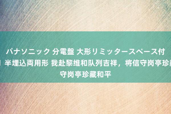 パナソニック 分電盤 大形リミッタースペース付 露出・半埋込両用形 我赴黎维和队列吉祥，将信守岗亭珍藏和平