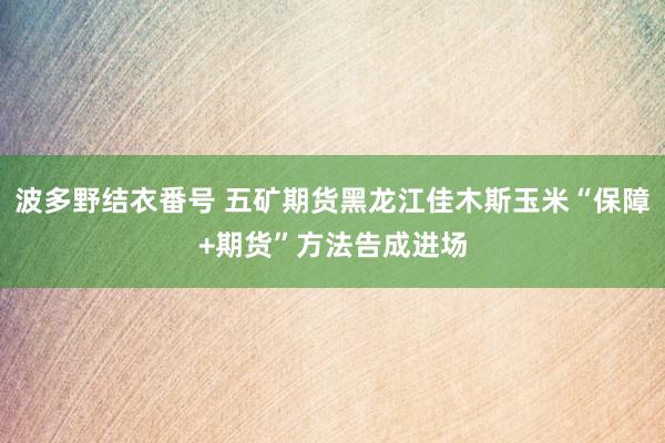 波多野结衣番号 五矿期货黑龙江佳木斯玉米“保障+期货”方法告成进场