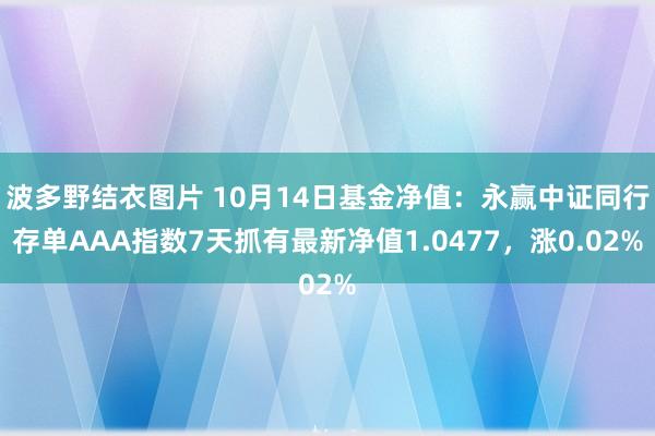 波多野结衣图片 10月14日基金净值：永赢中证同行存单AAA指数7天抓有最新净值1.0477，涨0.02%