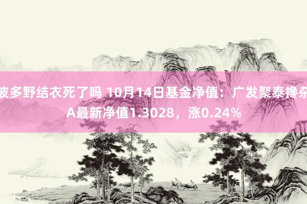 波多野结衣死了吗 10月14日基金净值：广发聚泰搀杂A最新净值1.3028，涨0.24%