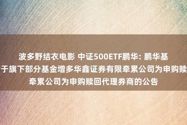 波多野结衣电影 中证500ETF鹏华: 鹏华基金处理有限公司对于旗下部分基金增多华鑫证券有限牵累公司为申购赎回代理券商的公告