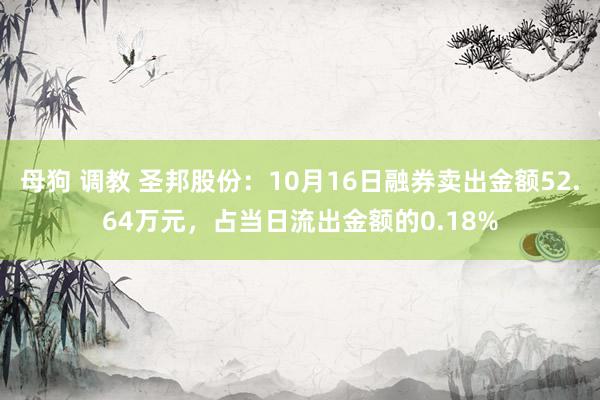 母狗 调教 圣邦股份：10月16日融券卖出金额52.64万元，占当日流出金额的0.18%