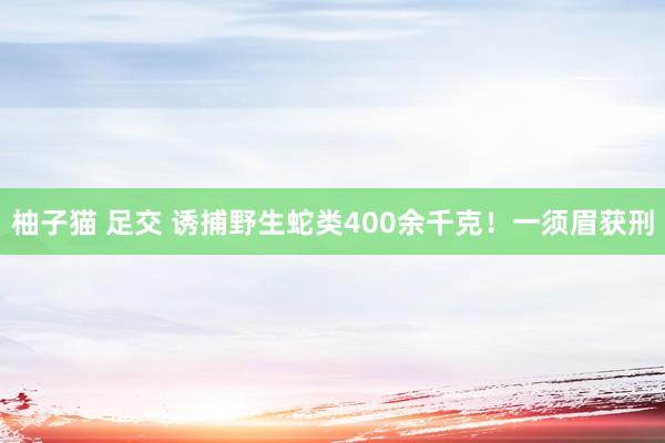 柚子猫 足交 诱捕野生蛇类400余千克！一须眉获刑