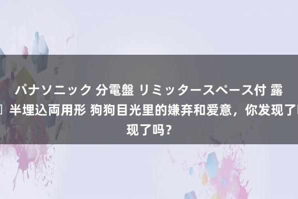 パナソニック 分電盤 リミッタースペース付 露出・半埋込両用形 狗狗目光里的嫌弃和爱意，你发现了吗？