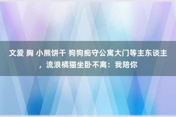 文爱 胸 小熊饼干 狗狗痴守公寓大门等主东谈主，流浪橘猫坐卧不离：我陪你