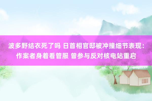 波多野结衣死了吗 日首相官邸被冲撞细节表现：作案者身着看管服 曾参与反对核电站重启