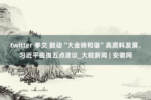 twitter 拳交 鼓动“大金砖和谐”高质料发展，习近平提倡五点建议_大皖新闻 | 安徽网