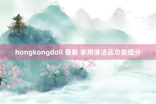 hongkongdoll 最新 家用清洁品功能细分