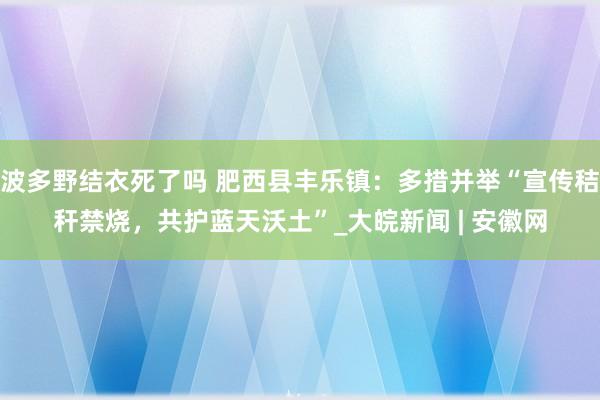 波多野结衣死了吗 肥西县丰乐镇：多措并举“宣传秸秆禁烧，共护蓝天沃土”_大皖新闻 | 安徽网