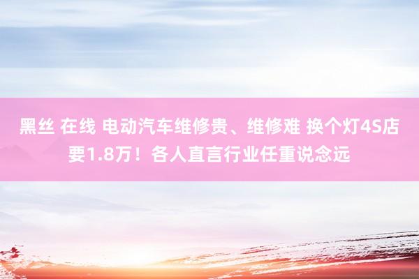 黑丝 在线 电动汽车维修贵、维修难 换个灯4S店要1.8万！各人直言行业任重说念远