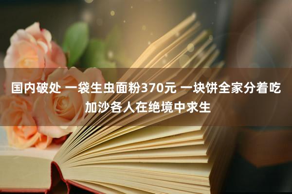 国内破处 一袋生虫面粉370元 一块饼全家分着吃 加沙各人在绝境中求生