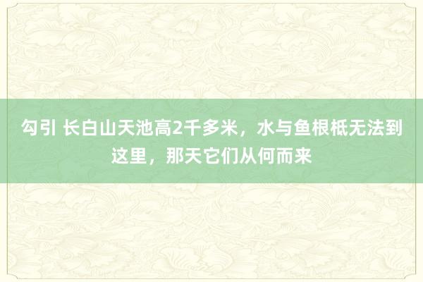 勾引 长白山天池高2千多米，水与鱼根柢无法到这里，那天它们从何而来