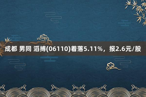 成都 男同 滔搏(06110)着落5.11%，报2.6元/股