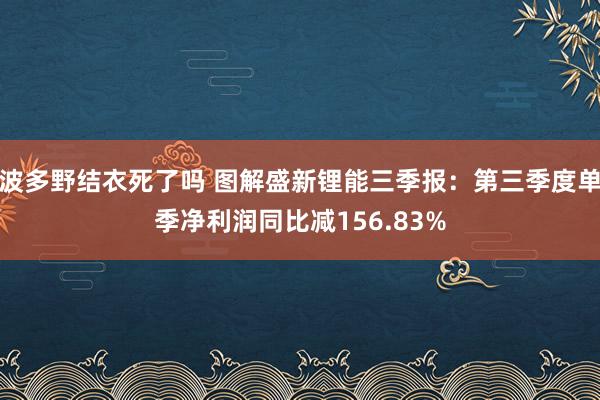 波多野结衣死了吗 图解盛新锂能三季报：第三季度单季净利润同比减156.83%