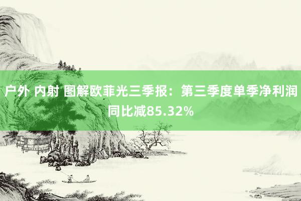 户外 内射 图解欧菲光三季报：第三季度单季净利润同比减85.32%