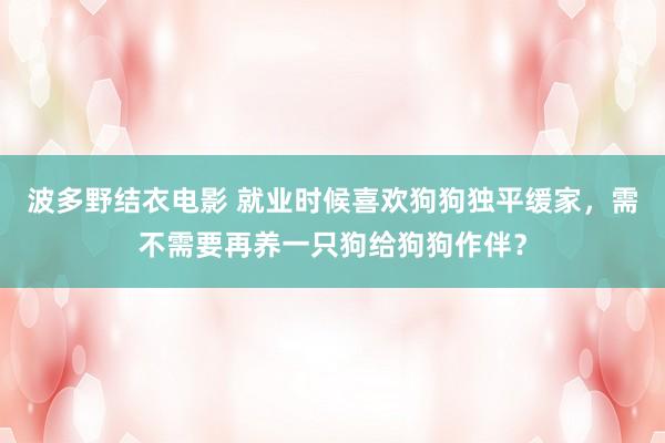 波多野结衣电影 就业时候喜欢狗狗独平缓家，需不需要再养一只狗给狗狗作伴？