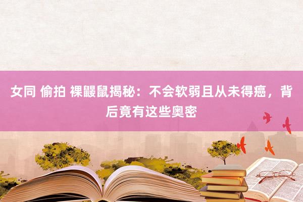 女同 偷拍 裸鼹鼠揭秘：不会软弱且从未得癌，背后竟有这些奥密