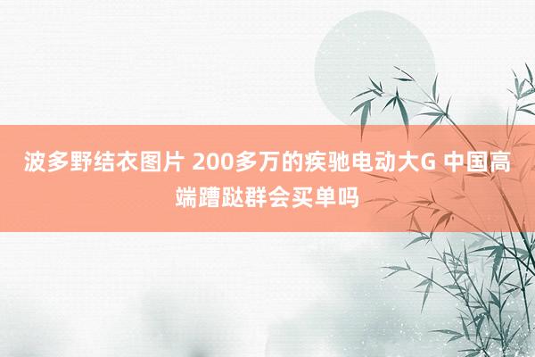 波多野结衣图片 200多万的疾驰电动大G 中国高端蹧跶群会买单吗